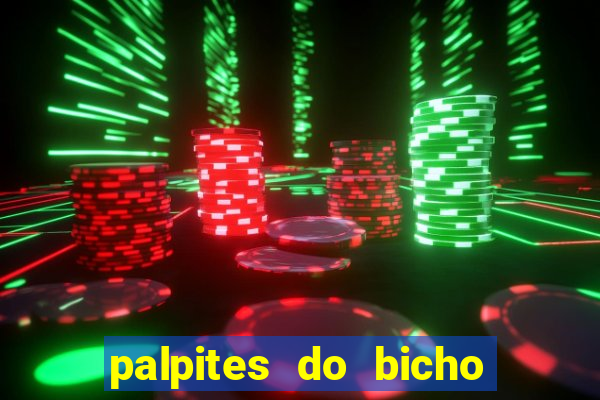 palpites do bicho no celular